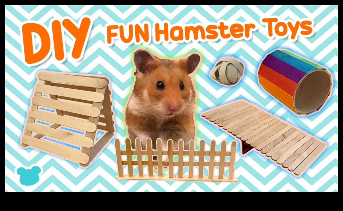 Kendin Yap Hamster Oyuncakları: Eğlence İçin Eğlenceli Aksesuarlar Üretmek