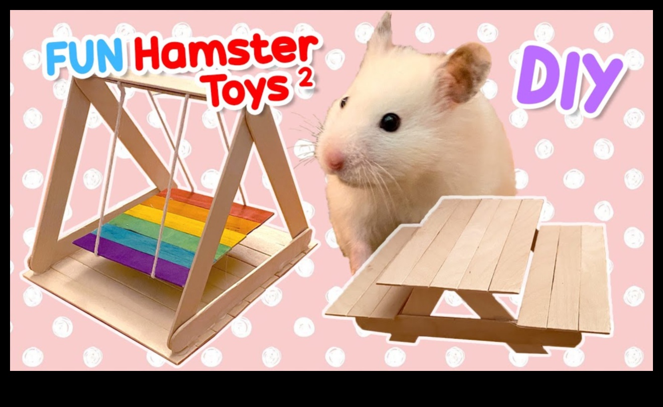 Kendin Yap Hamster Oyuncakları: Eğlence İçin Eğlenceli Aksesuarlar Üretmek