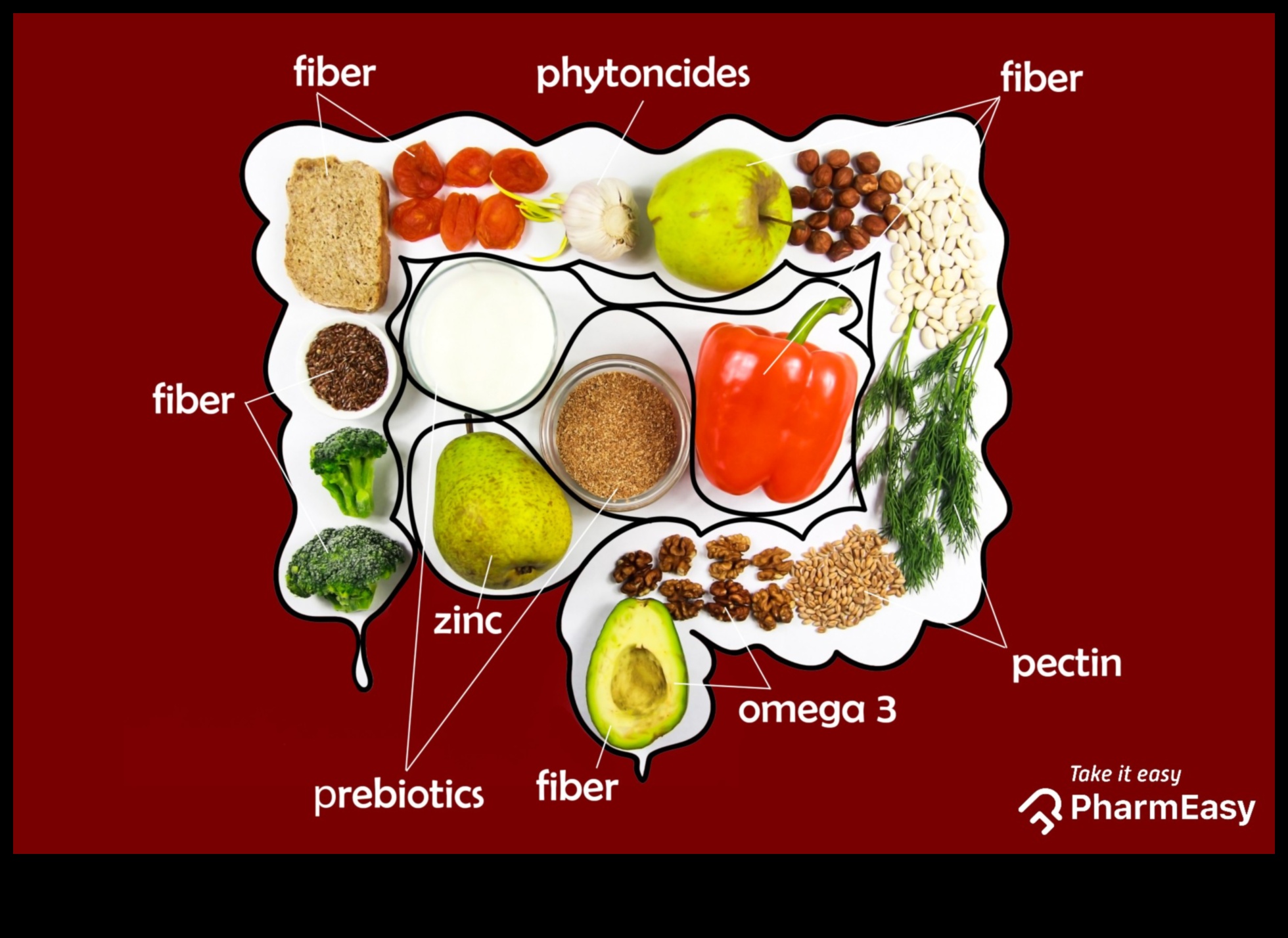 Yüksek proteinli diyetler ve bağırsak sağlığı: simbiyotik bir ilişki