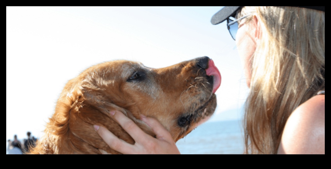 Doggy Day: Yavru'nuzla mükemmel günlük geziyi planlamak