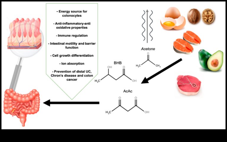 Keto diyeti sindirim sağlığı için bir arkadaş veya düşman